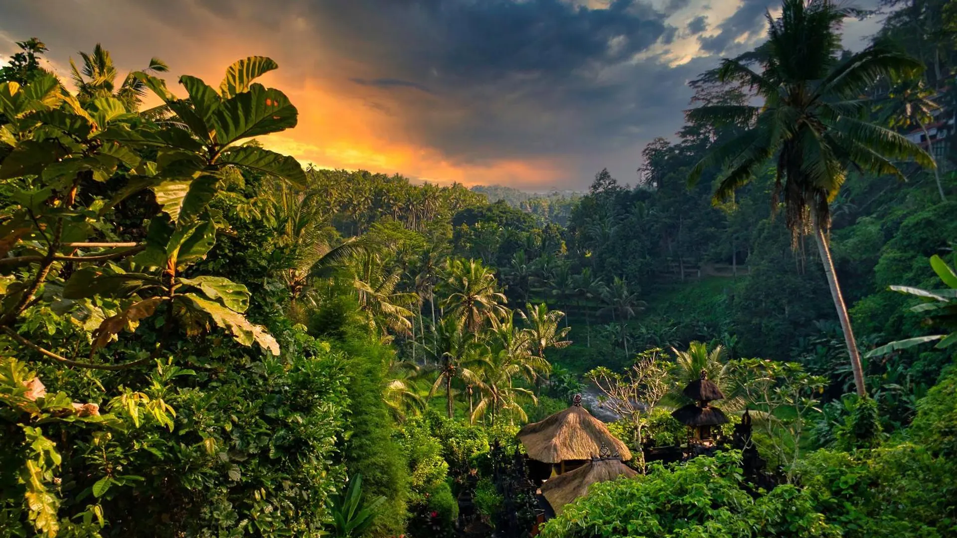 Heaven View 3 Bedroom Ubud Sayan 0*, Ubud (Bali) Indonesia