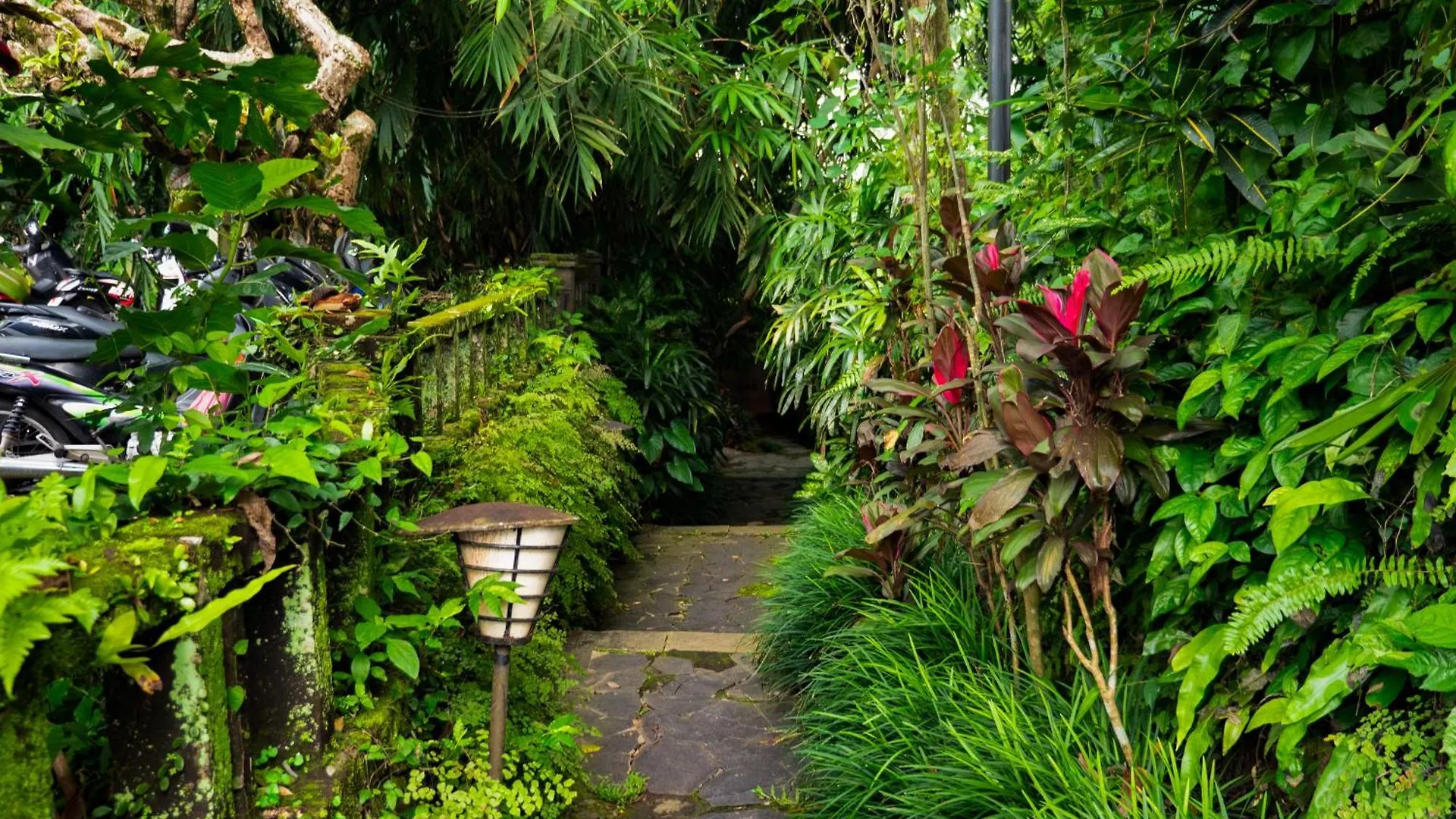Heaven View 3 Bedroom Ubud Sayan 0*, Ubud (Bali) Indonesia