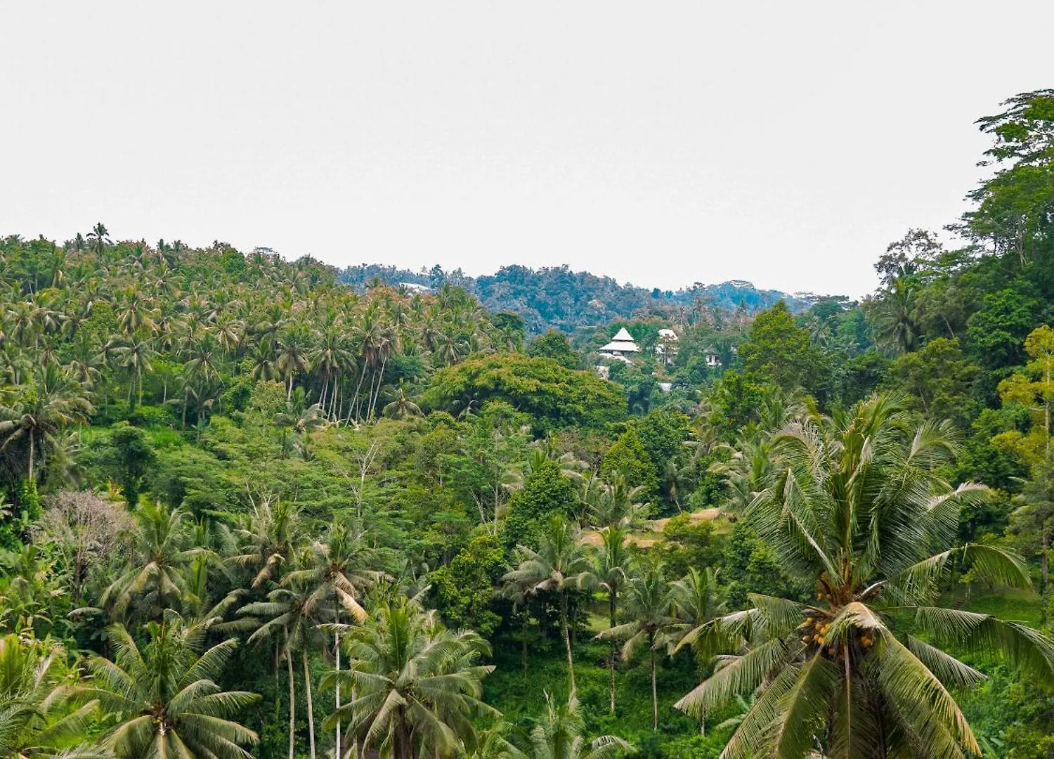 Heaven View 3 Bedroom Ubud Sayan Indonesia